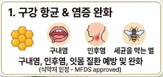프로폴리스 효능