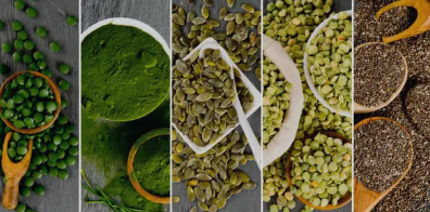 대마의 영양소 구성인 씨앗