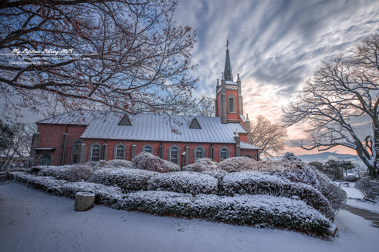 아산 공세리 공세리성당 가톨릭 천주교 성지 성당