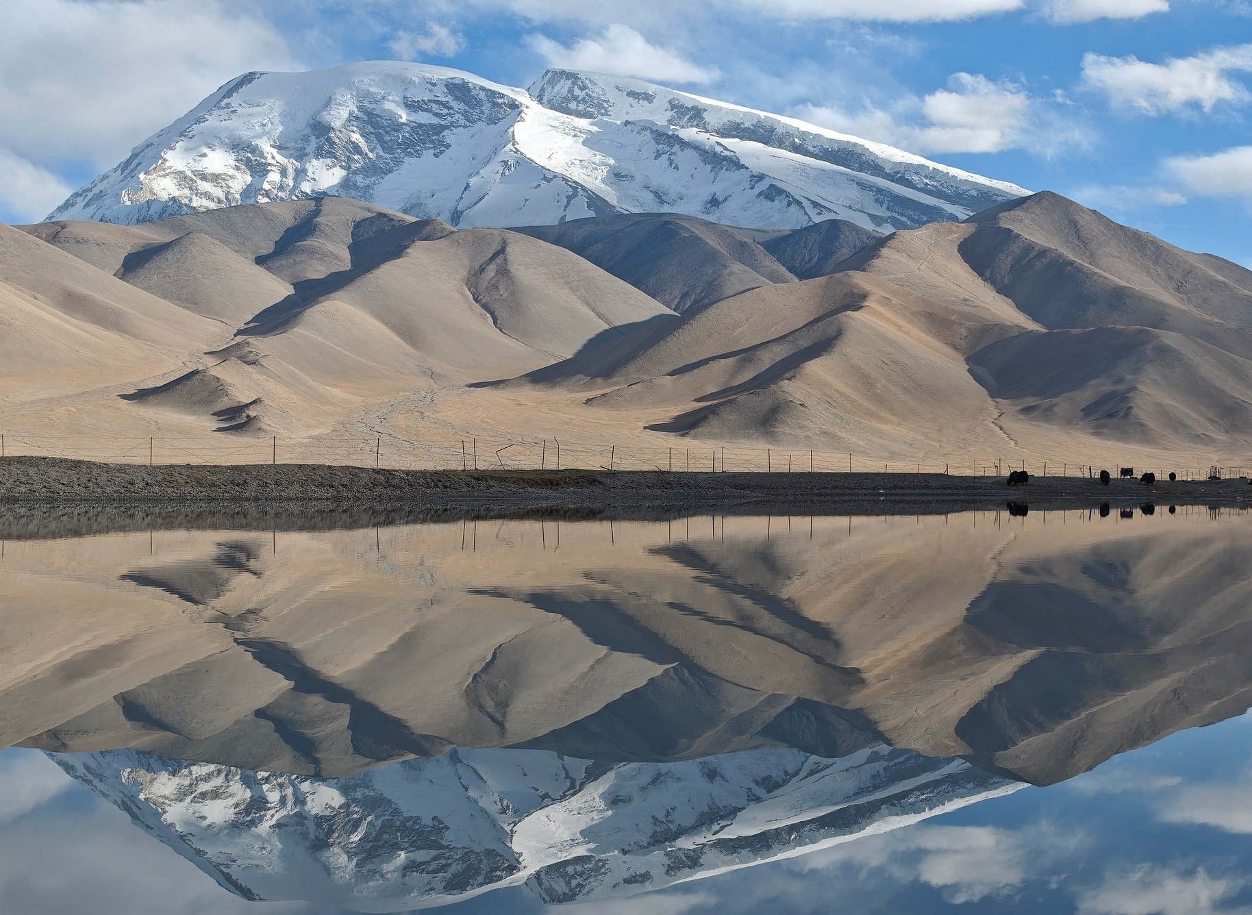 연금이 시작되기 전 &lsquo;공백기&rsquo;를 어떻게 버틸 것인가!