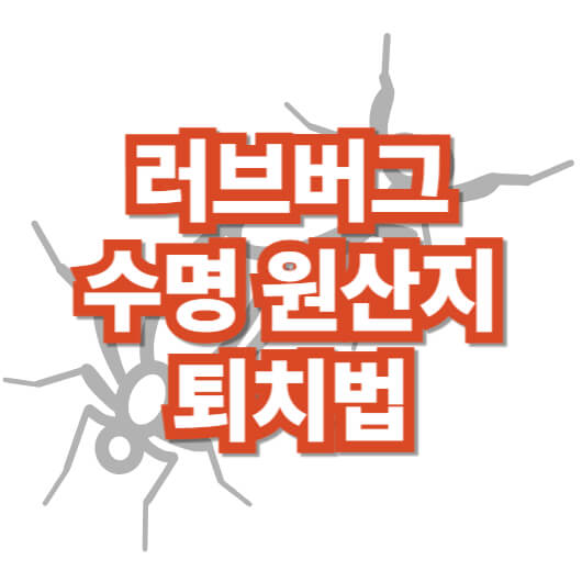러브버그-수명-원산지-퇴치법