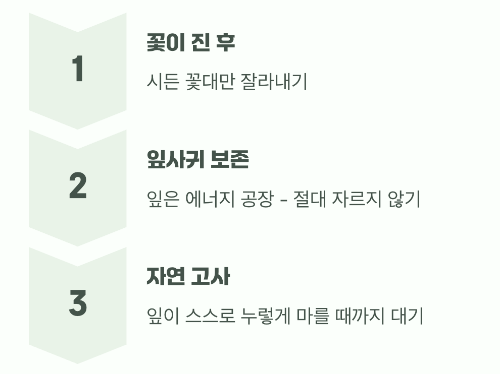 내년을 위한 약속, 꽃이 진 후의 관리