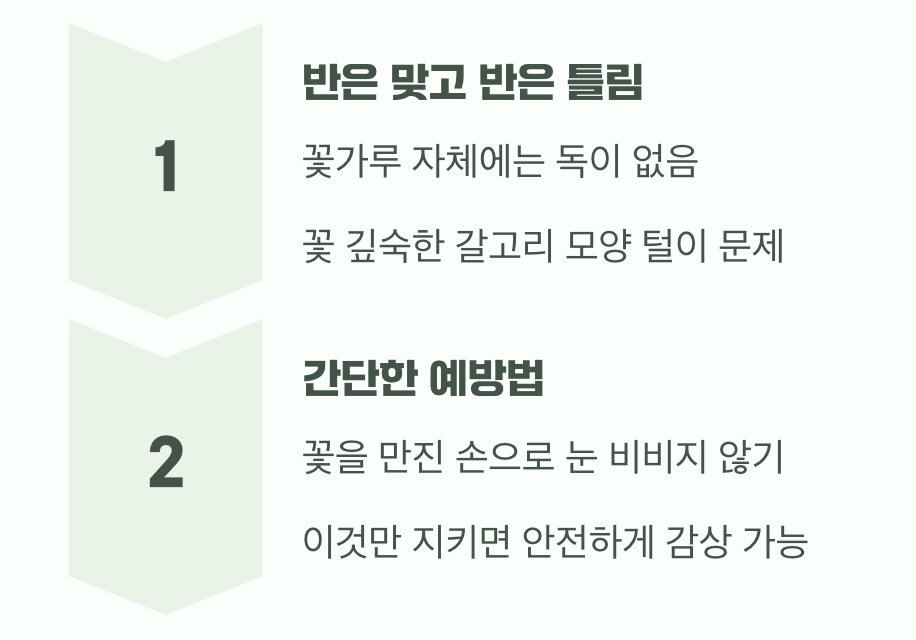 '위험한 꽃가루' 소문의 진실