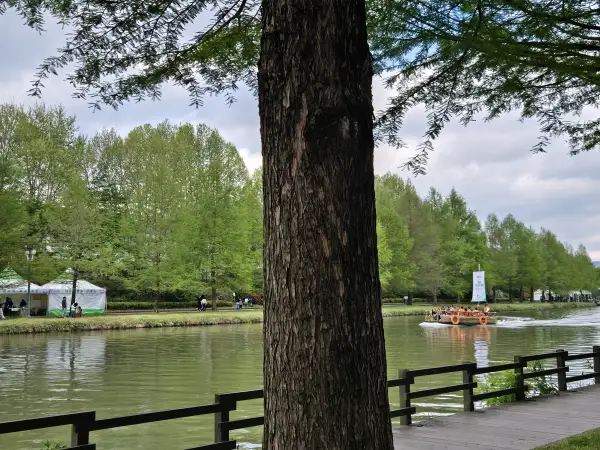 담양 대나무 축제 죽녹원