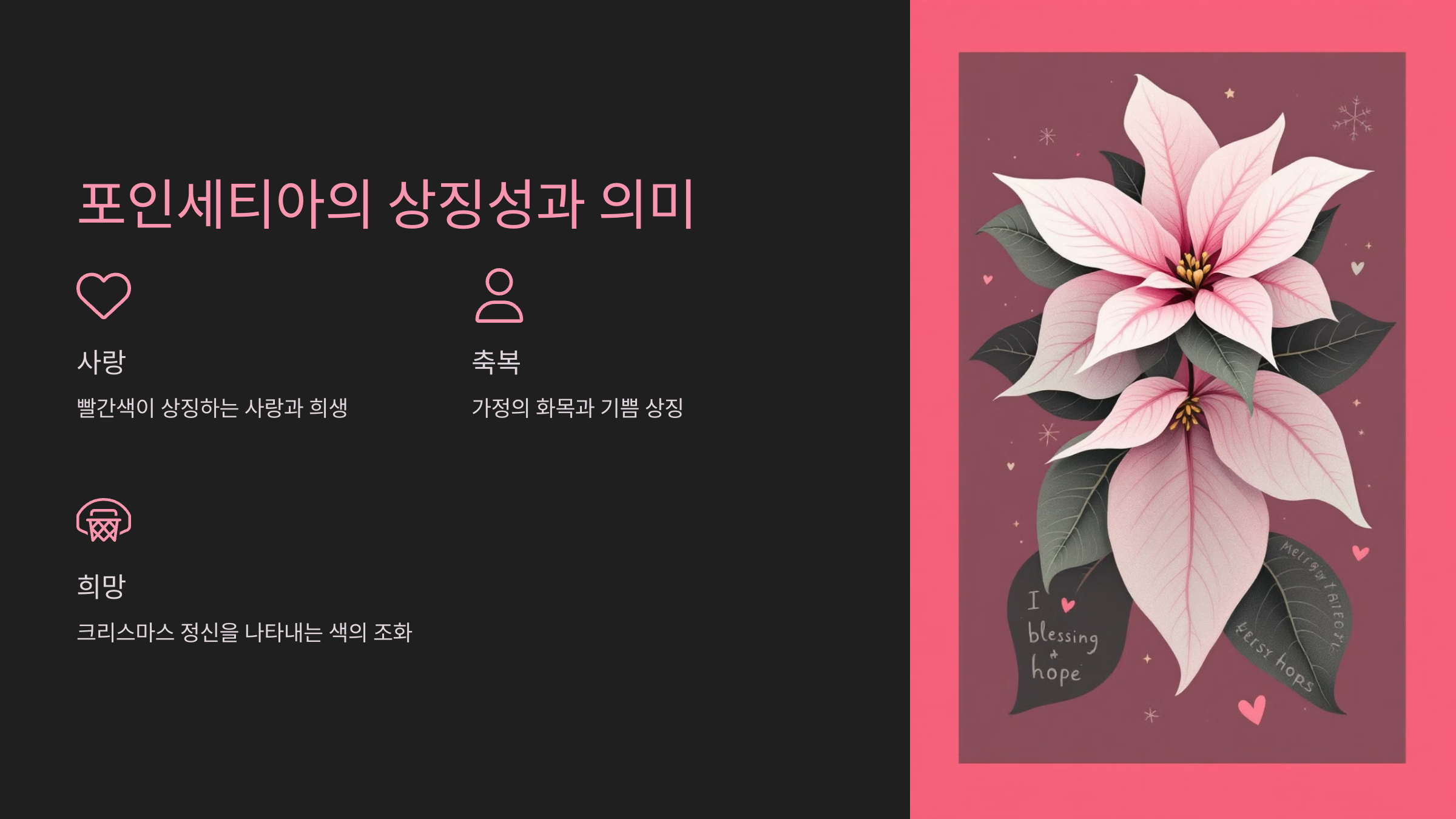 포인세티아의 상징성과 의미