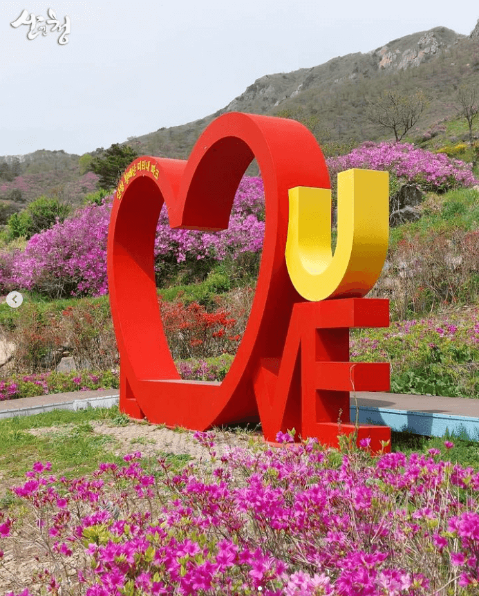 황매산 철쭉축제 기간