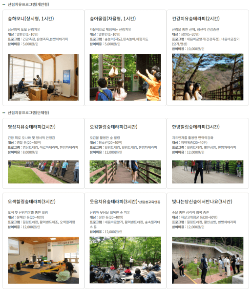 치유의숲-프로그램