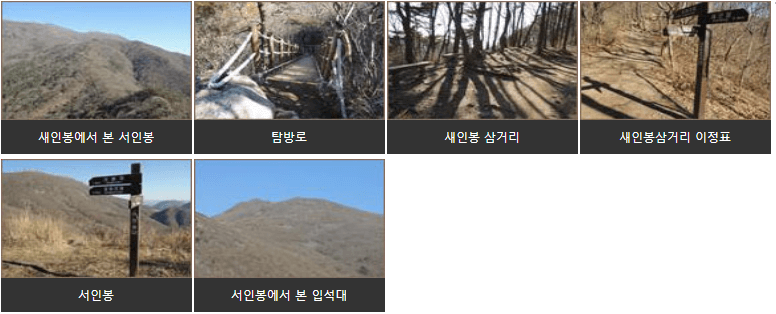 서석대서인봉