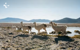 어린이날 축제 BEST 5, 국내여행지 추천