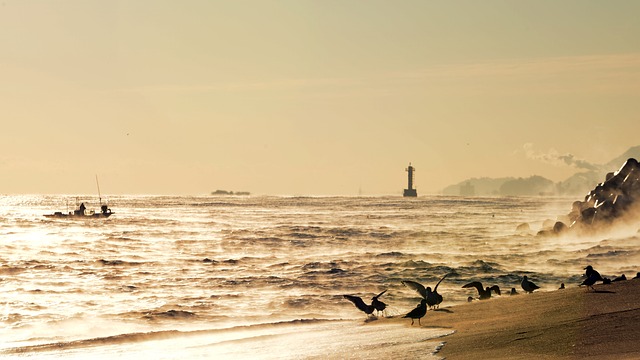 2025 전국 해수욕장 개장일 관련이미지