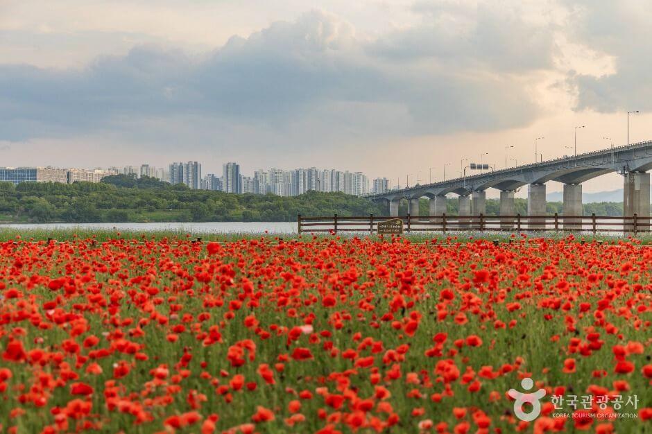 남양주 가볼만한곳 베스트 10
