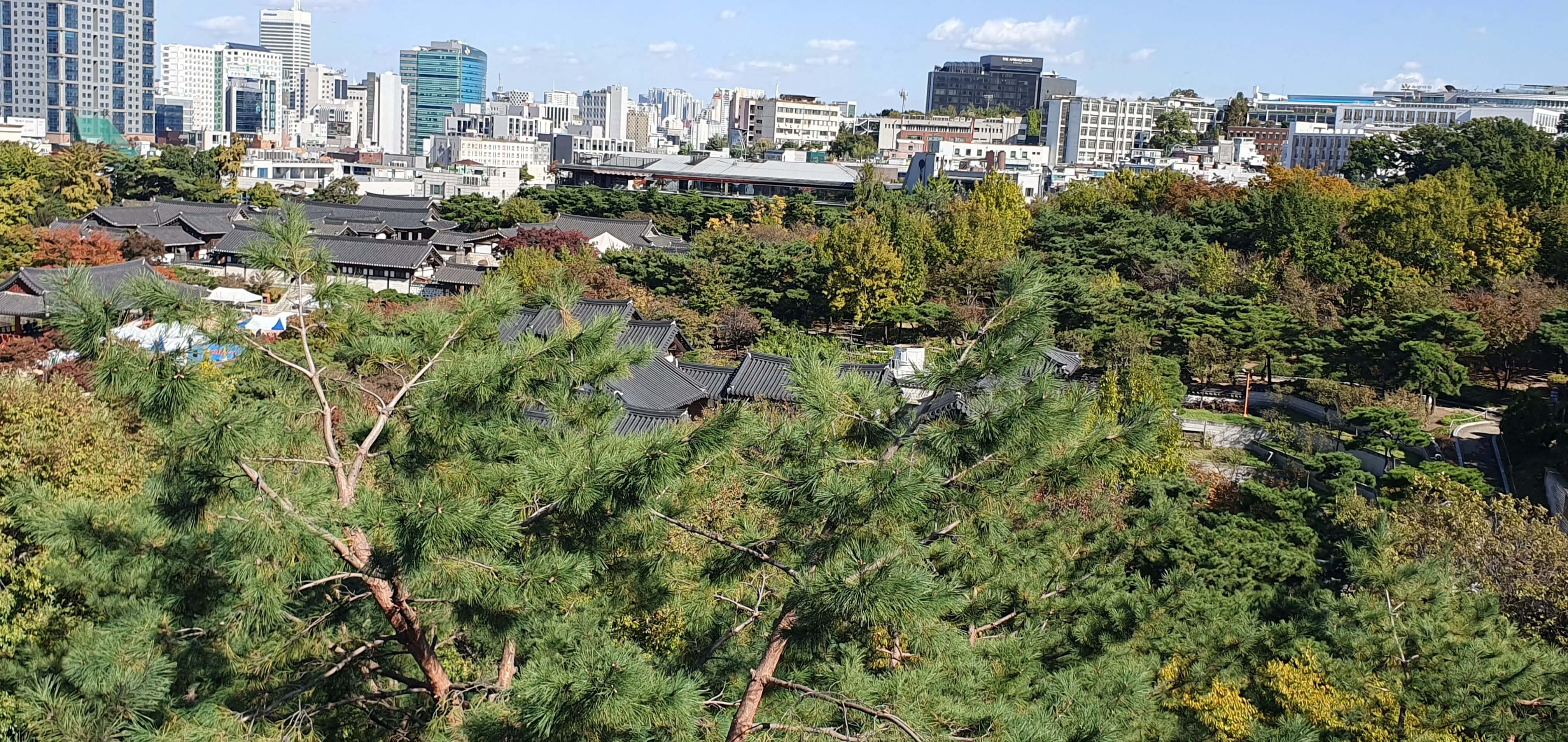 남산 단풍구경