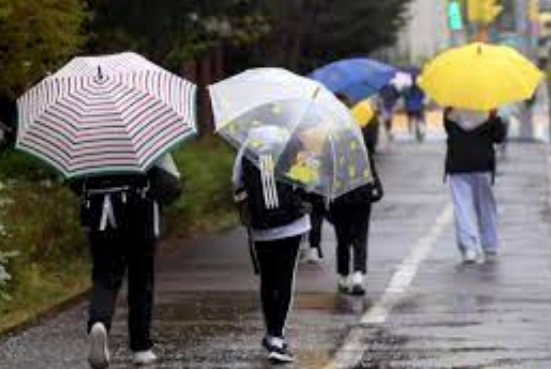 황사비 건강 피해 정리