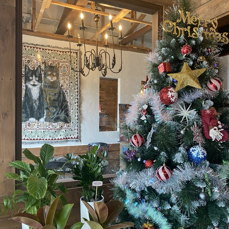 쿠안도-카페-입구