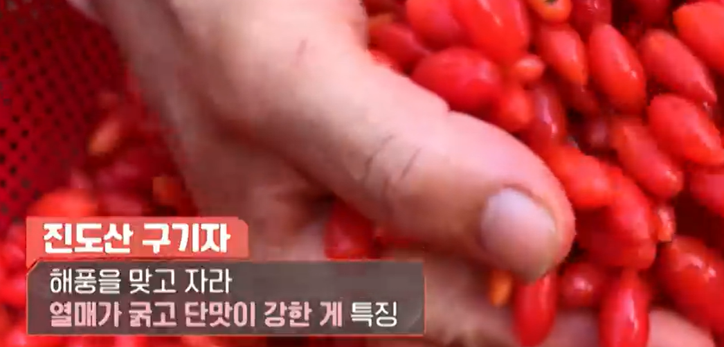 홍국 발효 구기자 분말 가루 먹는법