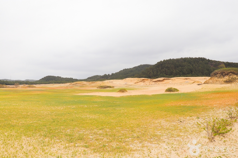 태안 가볼만한곳 베스트10