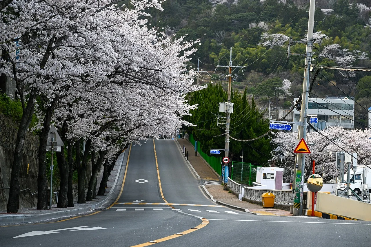 로드뷰 사진