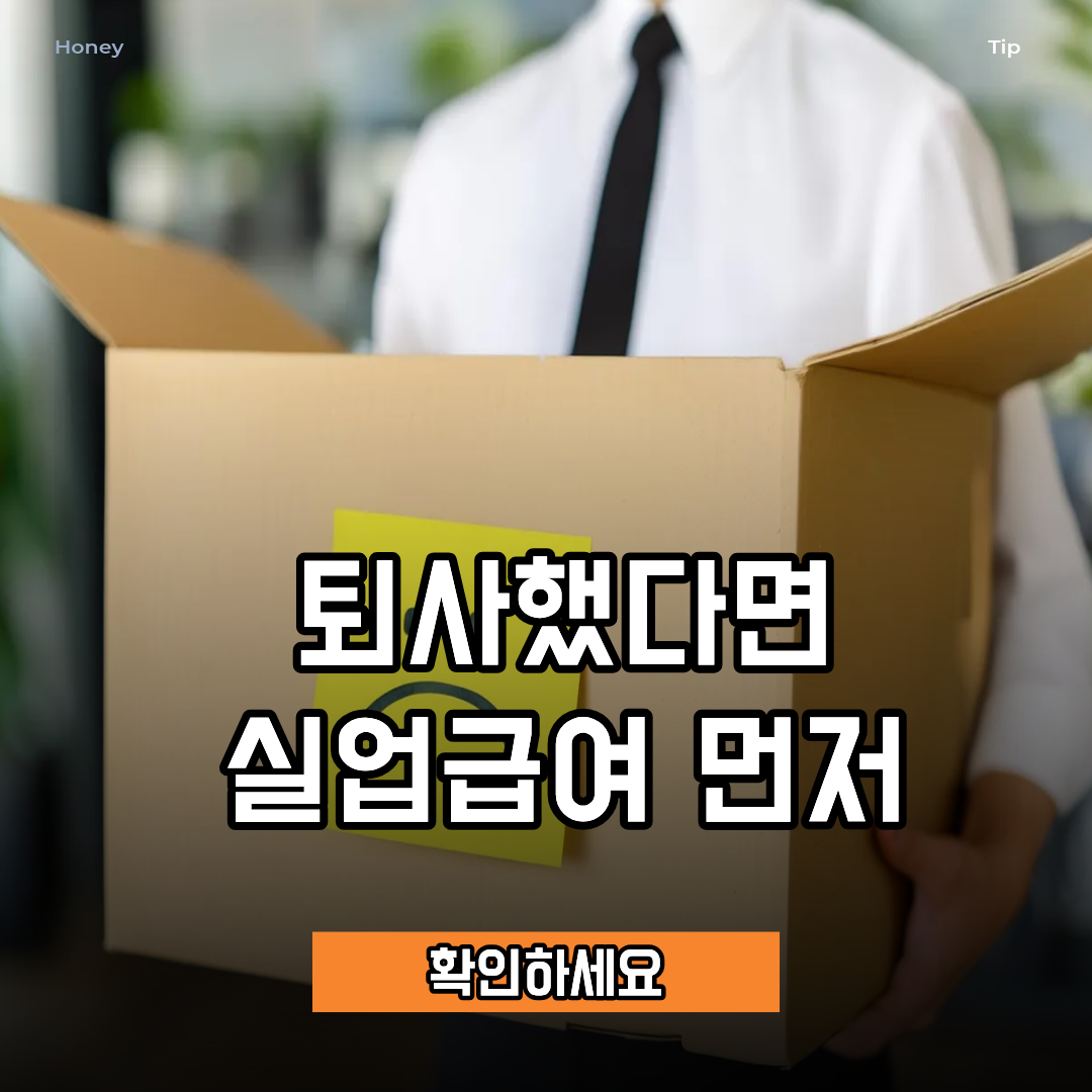 실업급여 신청방법 및 고용보험 구직급여 조건