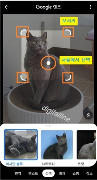검색에 사용할 영역을 선택합니다.