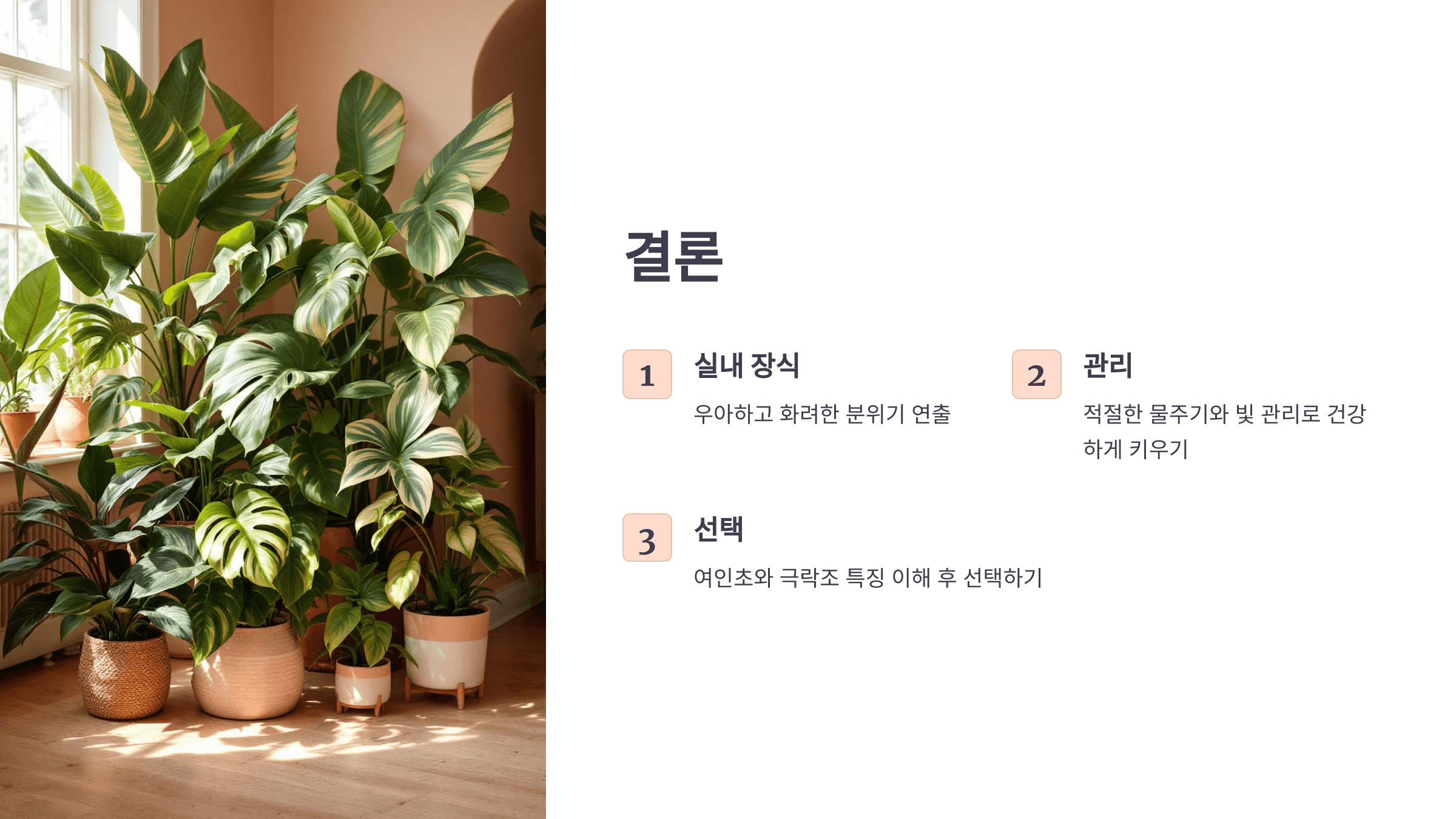 여인초 사진입니다.