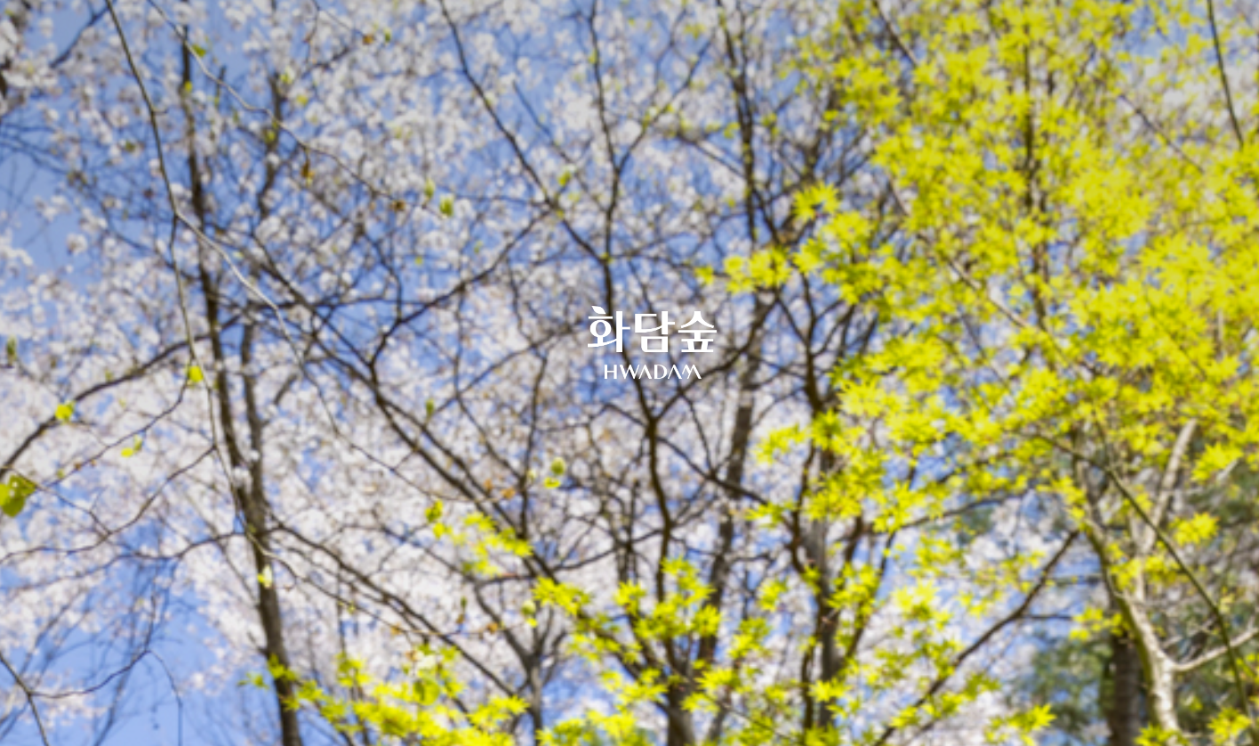 경기-광주-화담숲