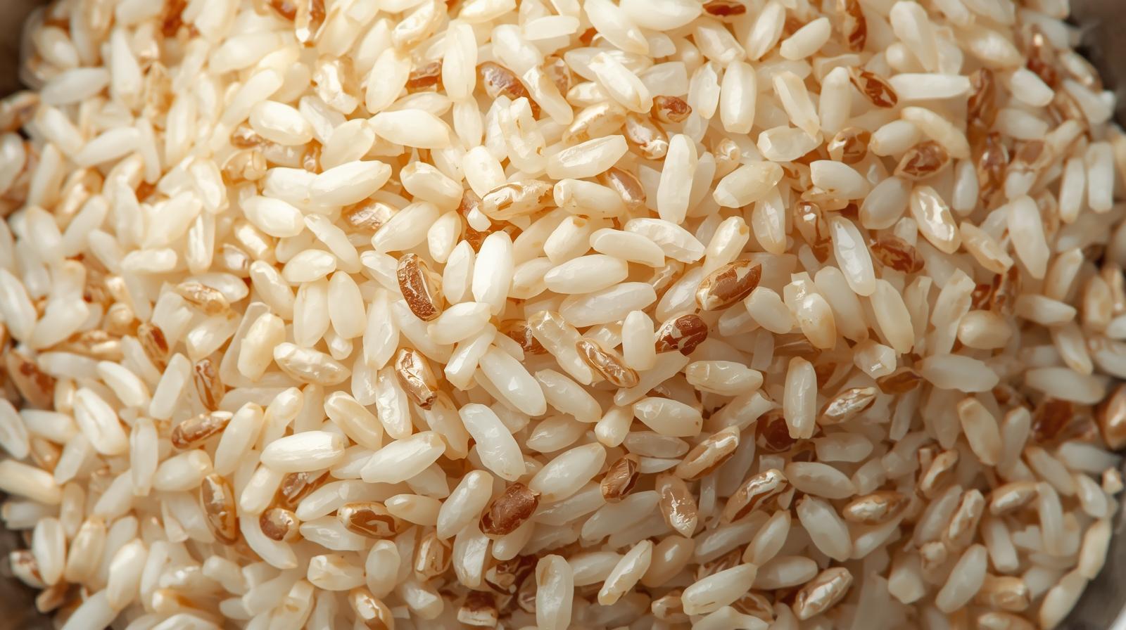 단백질많은음식