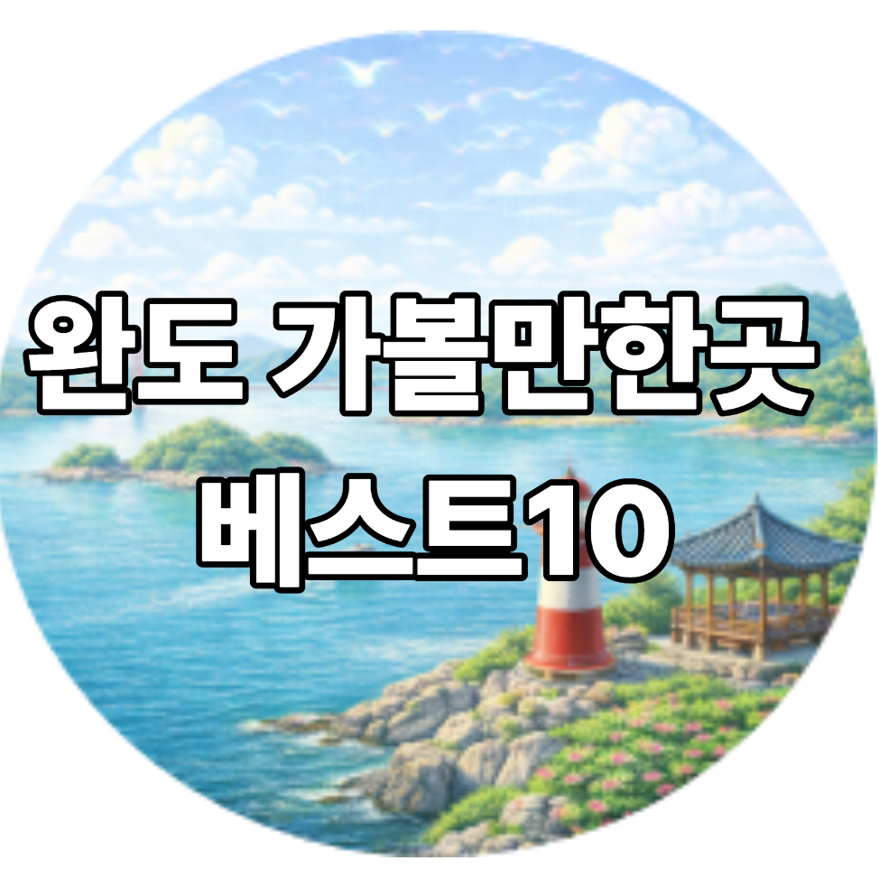 완도 가볼만한곳 베스트10