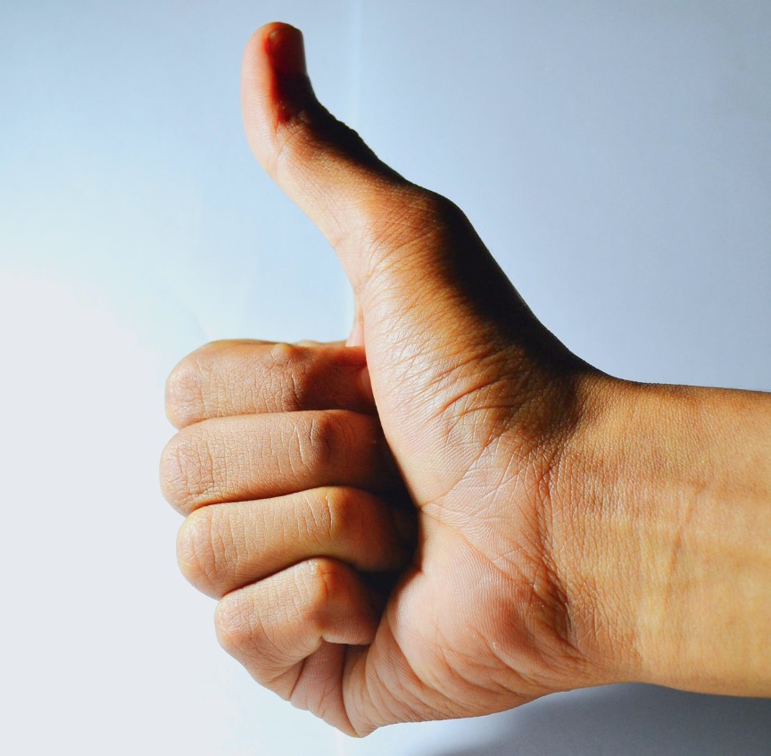 유학 후 취업 가장 잘 되는 나라는 어디일까? 관련 사진