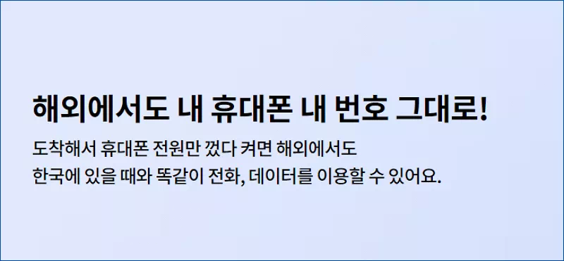 lg 유플러스 로밍서비스