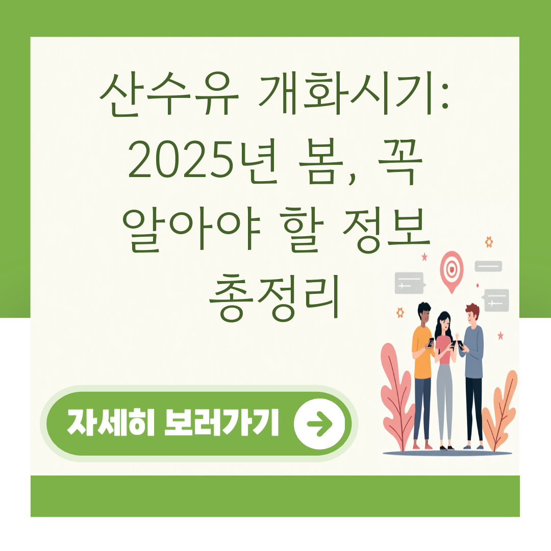 산수유 개화시기: 2025년 봄, 꼭 알아야 할 정보 총정리 대표 이미지