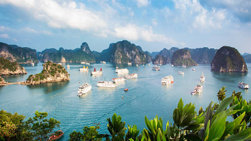 하롱베이 크루즈