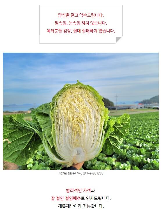 해남 절임배추