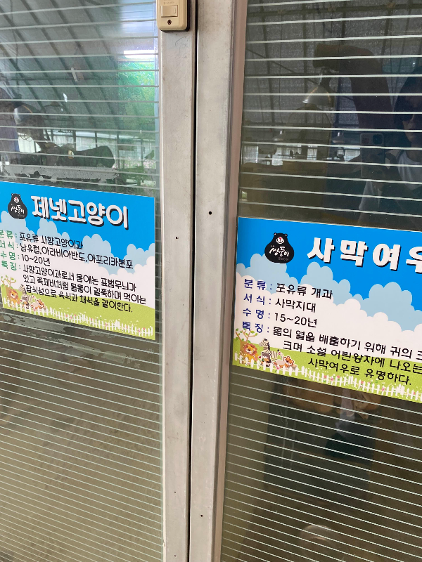 강릉 옥계 쌍둥이동물농장
