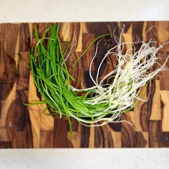 달래 손질 방법 달래장 맛있게 꿀팁_12