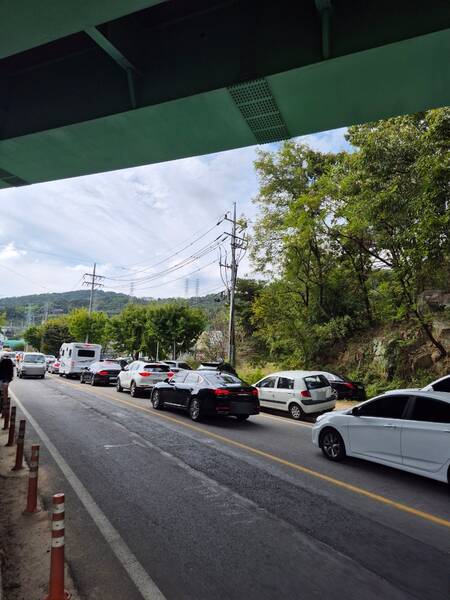 합천 핑크뮬리 신소양체육 공원 맛집 및 무료 주차 꿀팁