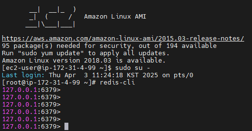 redis 실행 화면 이미지