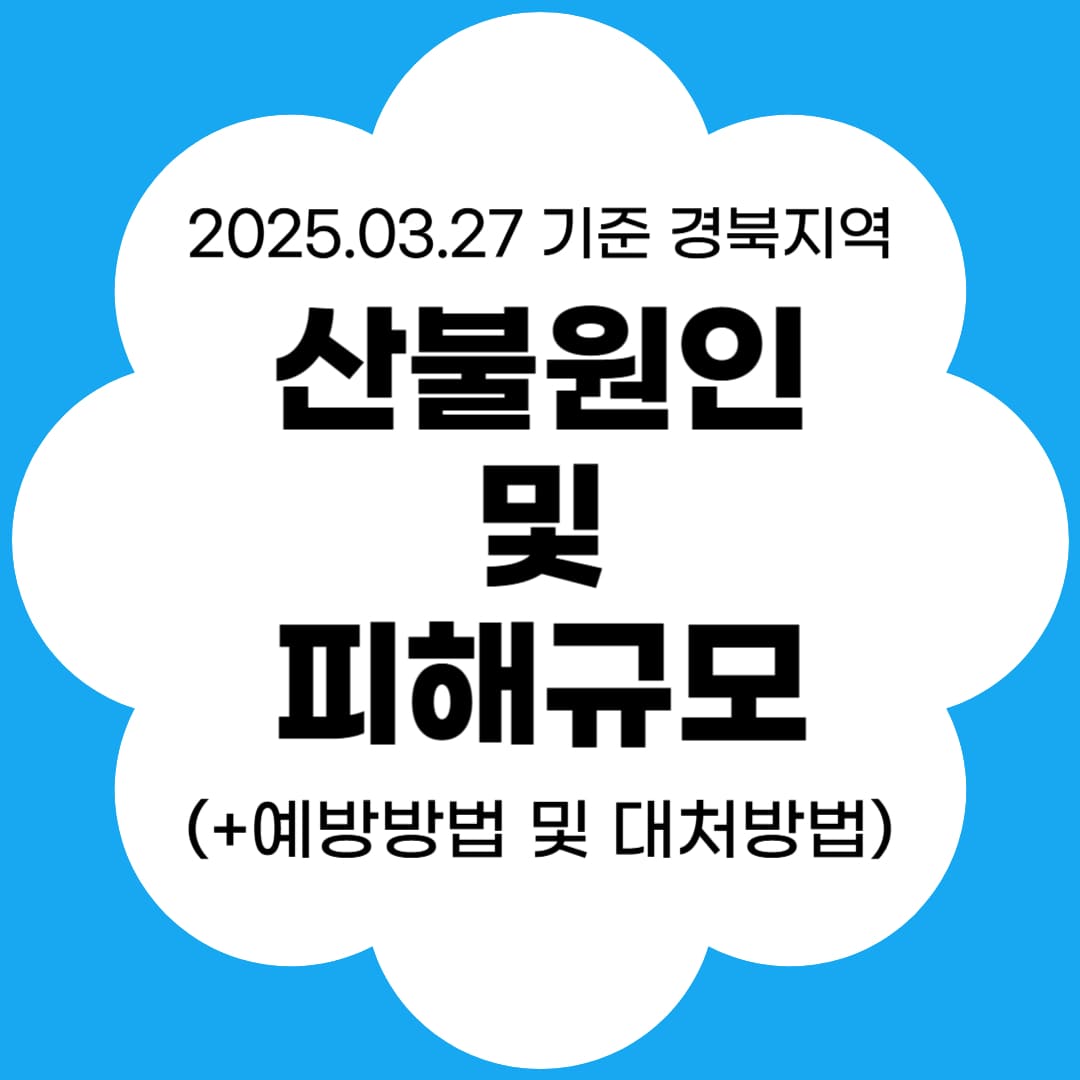 산불원인 및 피해규모 썸네일