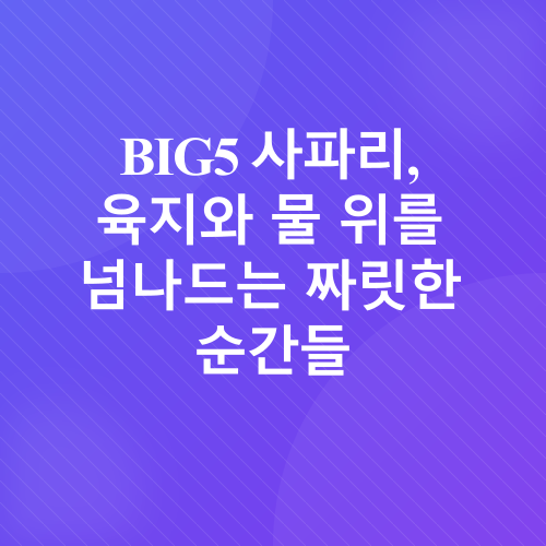 아프리카 크루즈 여행_2