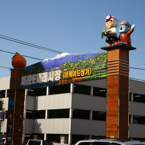 제주여행 매일올레시장, 시장에서 만나는 제주의 맛, 혼자 여행자 추천 미식 여행 노하우 &amp; 서귀포 감성 코스