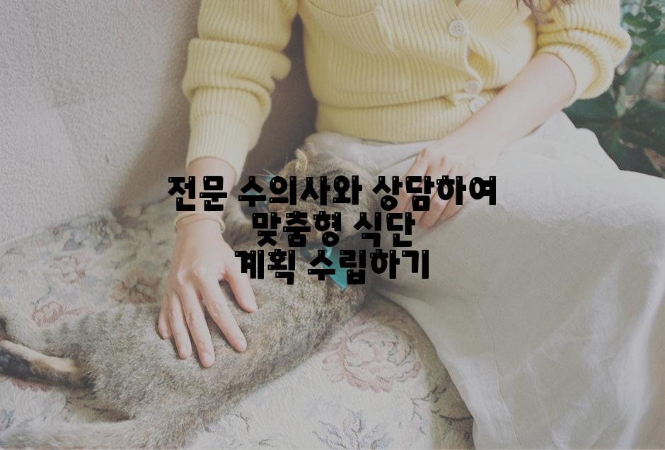 전문 수의사와 상담하여 맞춤형 식단 계획 수립하기