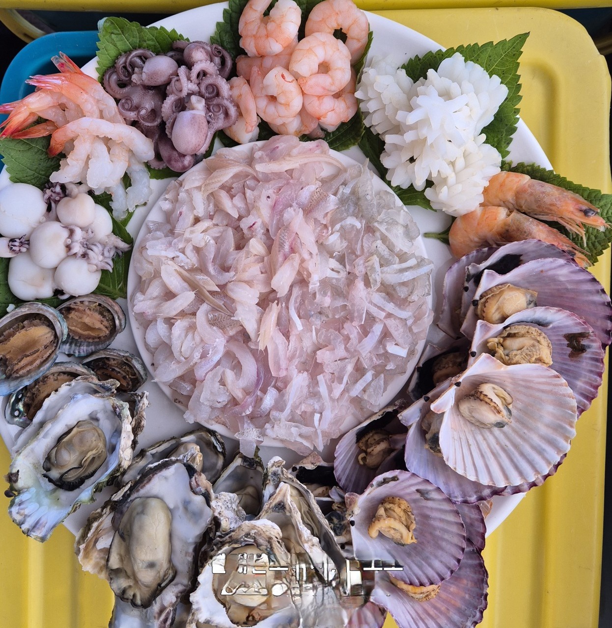 선상낚시의 한상차림