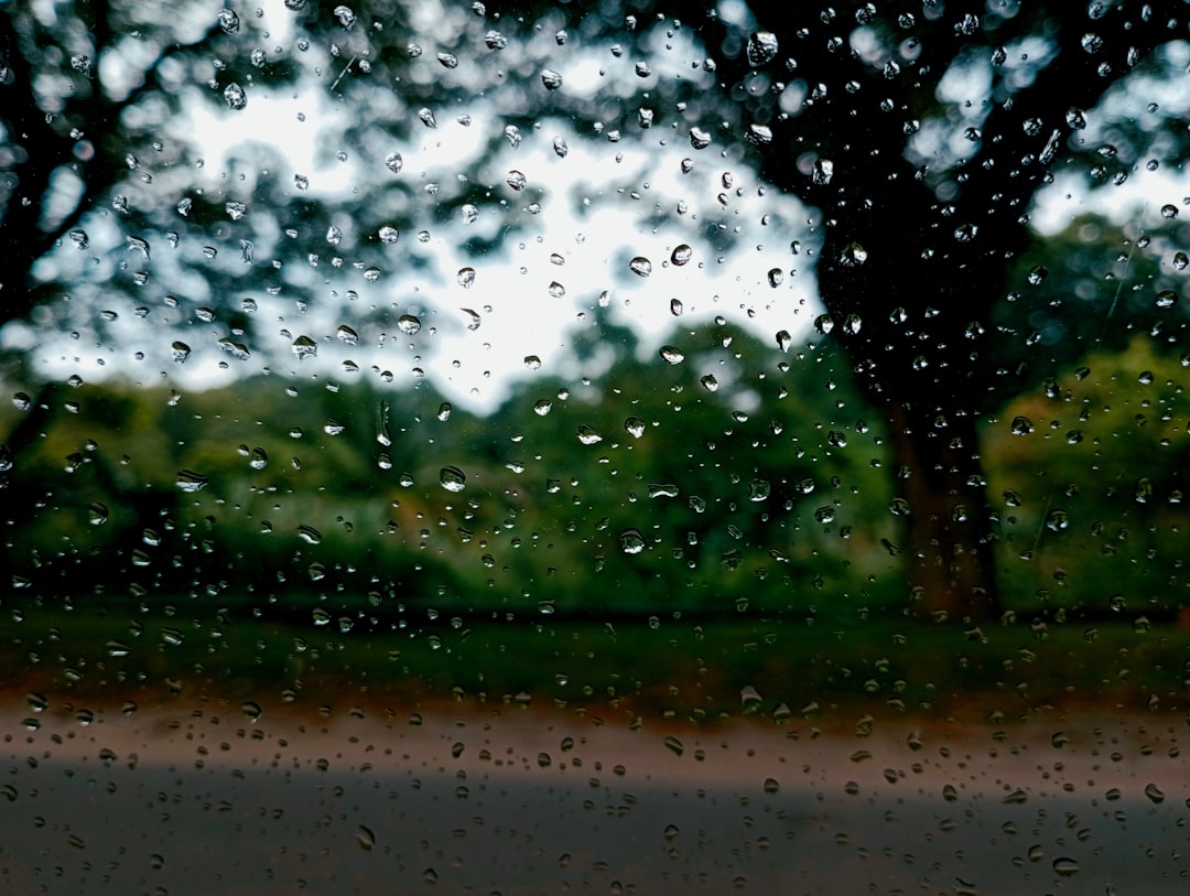 Dryness.