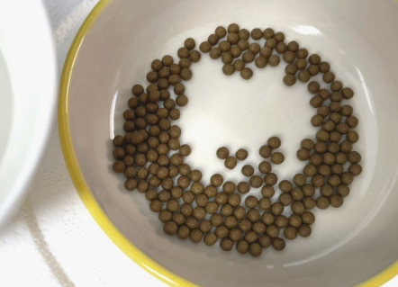 행감환 이미지5