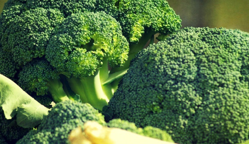 푸른색-브로콜리