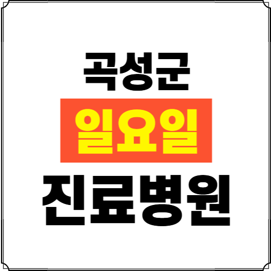 곡성군 일요일 진료병원 찾기 ❘ 24시 휴일 주말 응급 야간 심야 문여는 병원