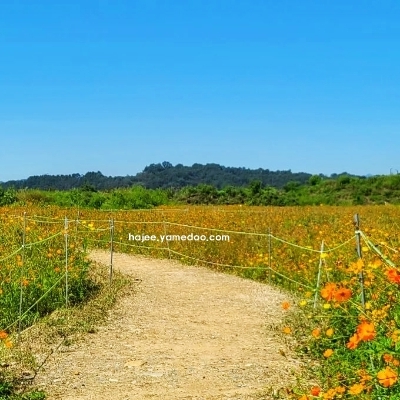 충주 가볼만한곳 베스트10