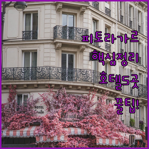 피토라가르 호텔 비교 추천 5곳 성급..