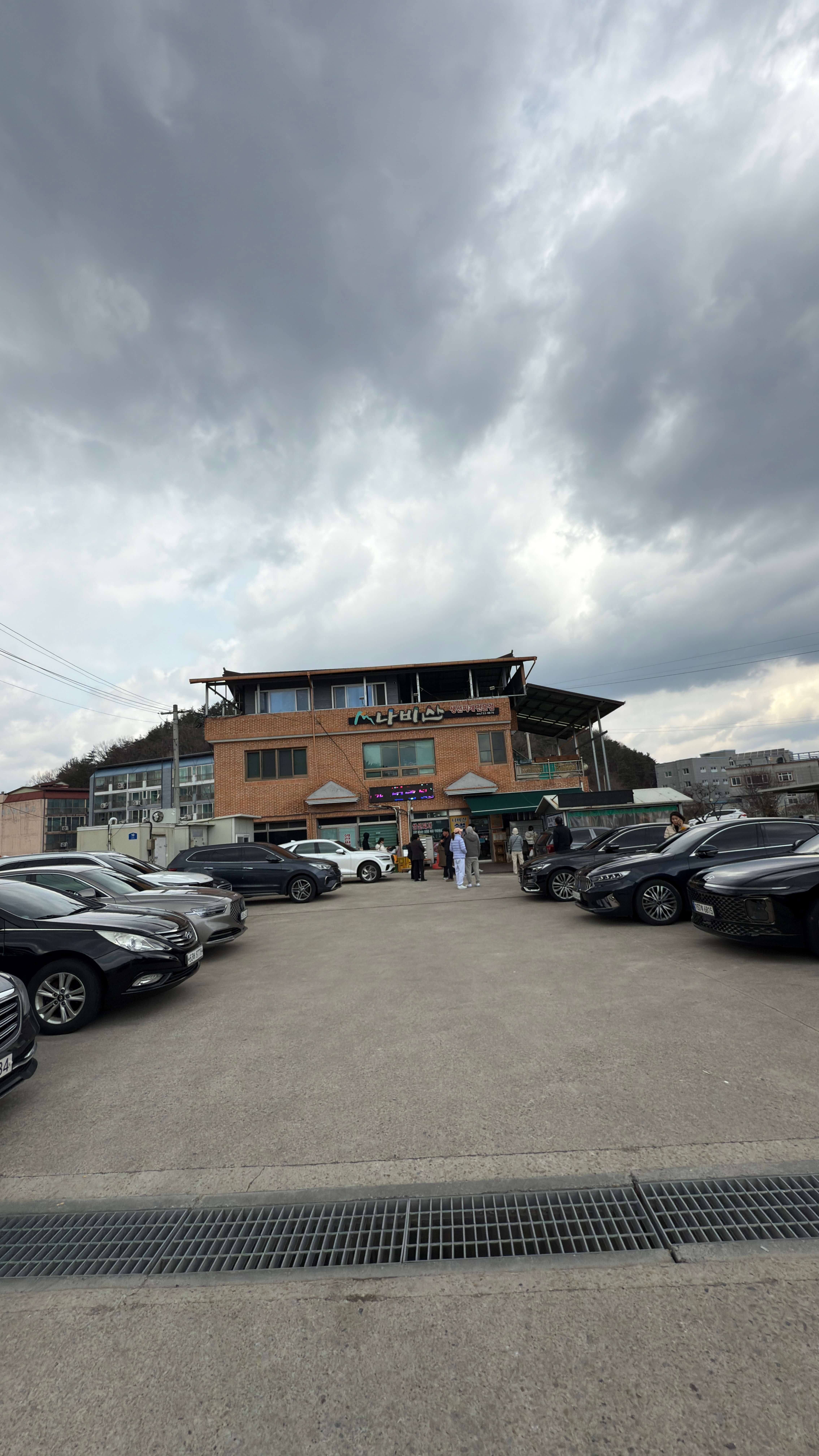 영덕맛집 나비산