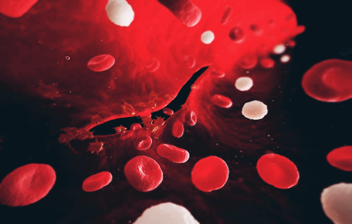 보스웰리아 효능 부작용