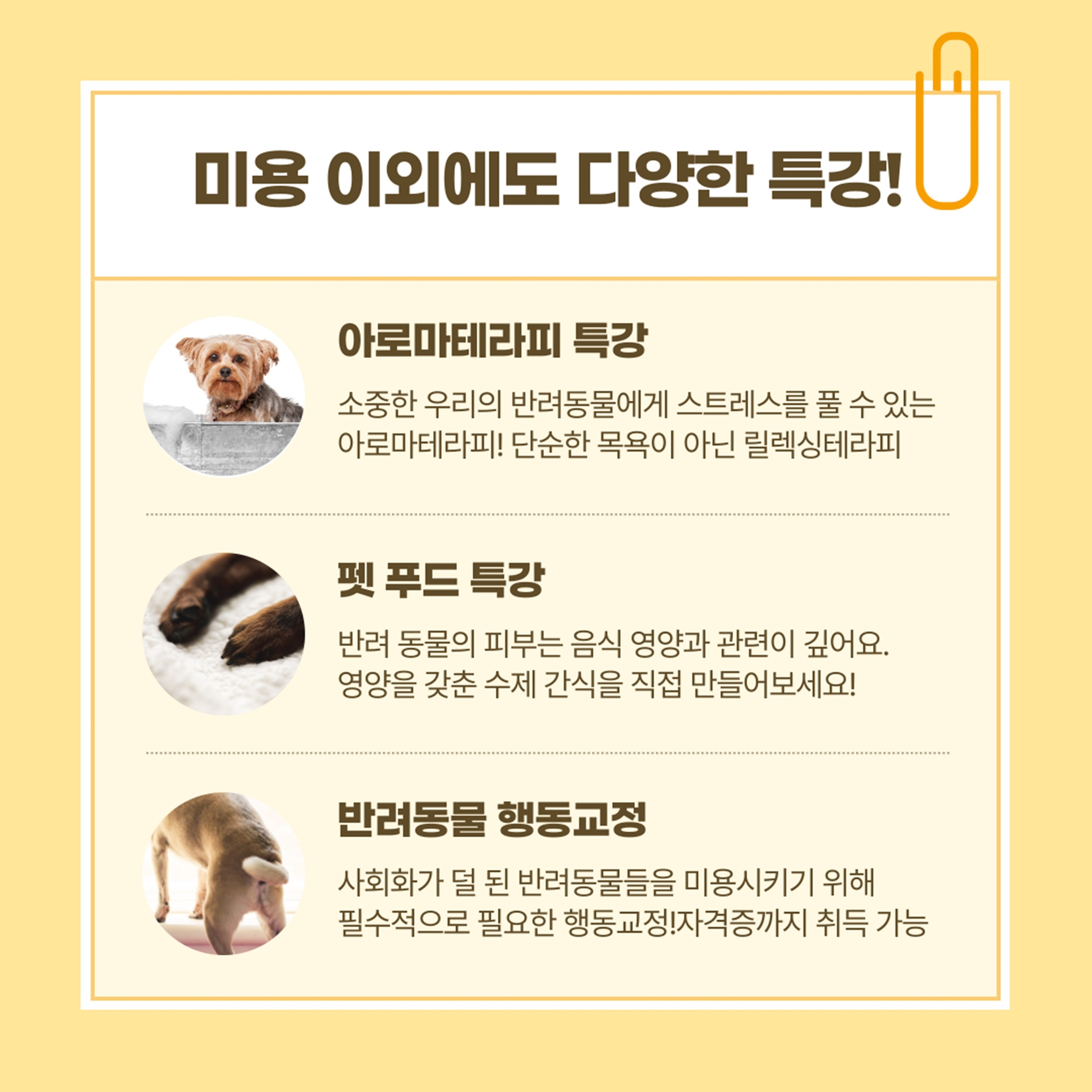 봉선동애견미용자격증